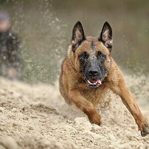 MOM6836