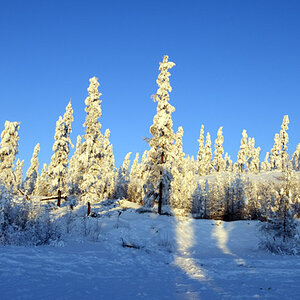 jakutische Winterlandschaft