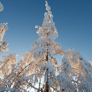 jakutische Winterlandschaft