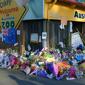 2006