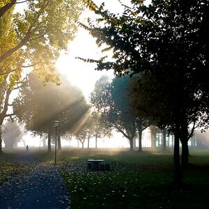 Park
