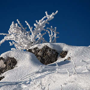 Hohe Wand Raureif