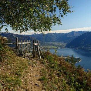 Wanderweg oberhalb Ronco sopra Ascona