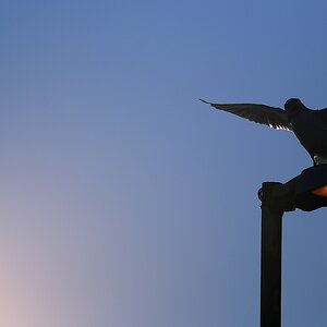 Travemünde tiefgekühlt5