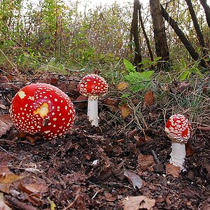 DSC 7826 1