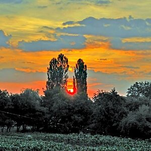 rising sun