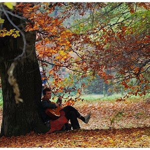 "Troubadour"

Komponist und Sänger höfischer mittelalterlicher Lieder
Eingefangen bei einem Herbstspaziergang im
" Schloßpark Berlin - Charlottenburg 