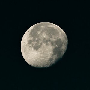Mond
