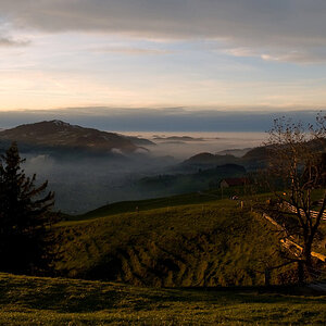 Nebel