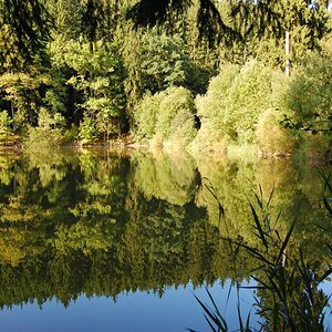 Brandleiteteich2