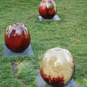 YM ThreeApples