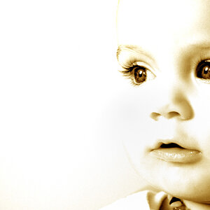 DSC 4849 crop