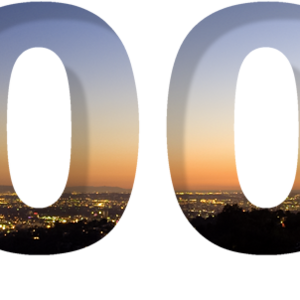 2009