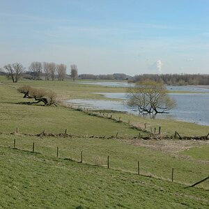 Niederrhein, gegenüber von Xanten