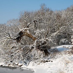 2010 01 03 13 25 12 1