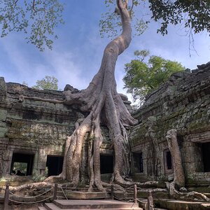 Ta Prohm
HDR
