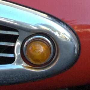 DSC 0032 crop