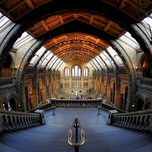 London
Naturhistorisches Museum