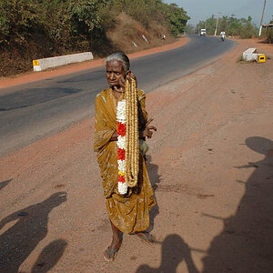 Old indian woman selling flowers on the road (Goa)