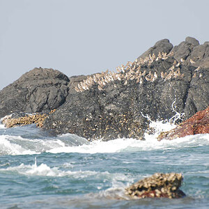 Grande Island (Goa)