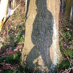 Licht 2
