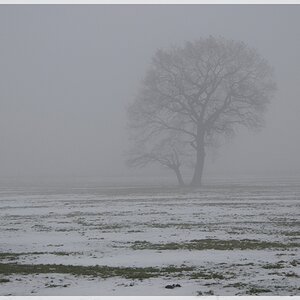 Jan 2010