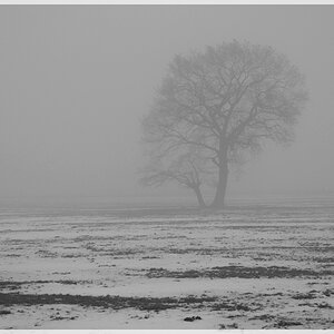 Jan 2010 SW