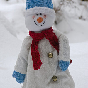 Schneemann DSC 6461 R 1000 nikon