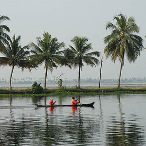 Smal boat in the Backwaters