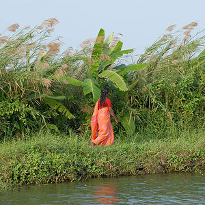 Backwaters (Kerala)