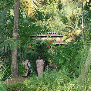 Indian woman living in the Backwaters (Kerala)