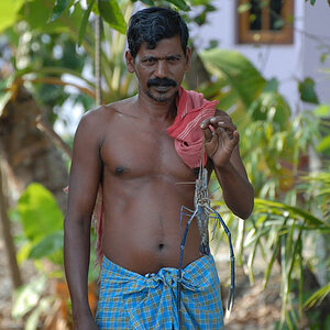 Backwaters (Kerala)