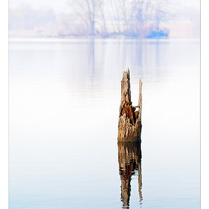 Auf dem See 09