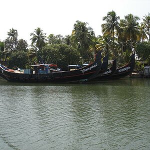 DSC00779