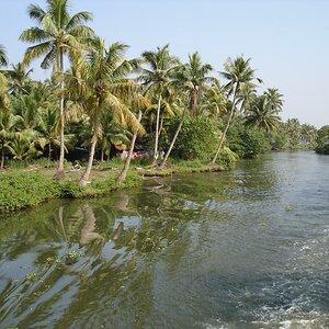 DSC00795