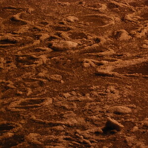 DSC 8125