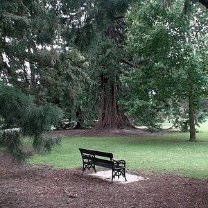 bank 1 botanic garden christchurch 01 29 07 NZ HC3 817