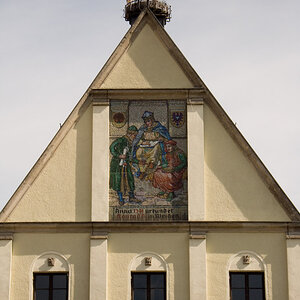 Störche