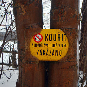 Schild im Baum
