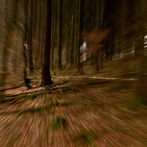 Speed