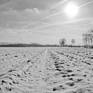 2010 01 31 12 54 25 1