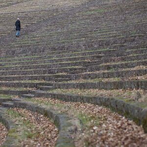 Linien