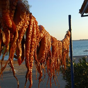 kenzaburo rhodos 01