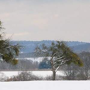 Winter002