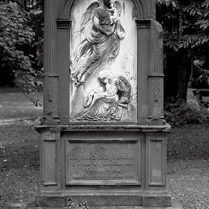Alter Friedhof 4