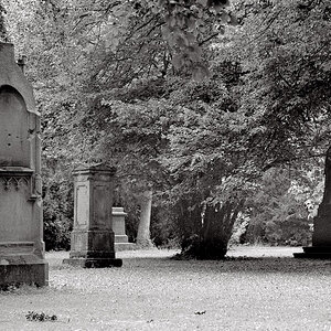 Alter Friedhof 5