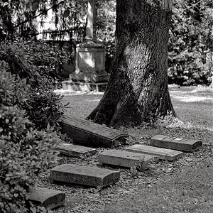 Alter Friedhof 12