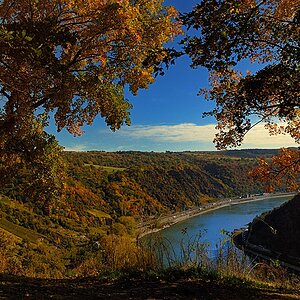 2009 10 09 loreley DSC 1705