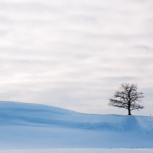 Schneeschuhwanderung 2