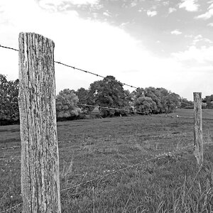 DSC 4207 Weidezaun